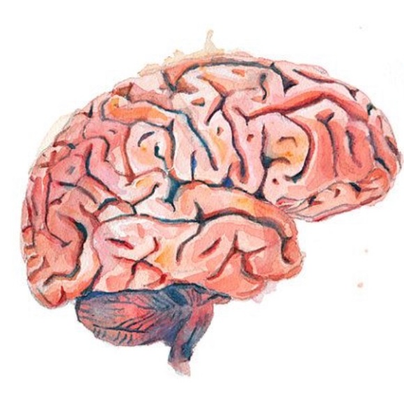 Meet your Posher, Em - Picture 1 of 1